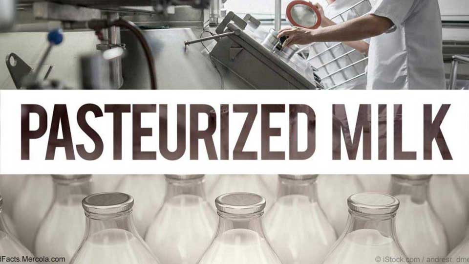 những lưu ý cơ bản khi sử dụng sữa tươi thanh trùng cho gia đình và trẻ nhỏ